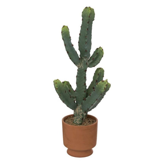 Cactus en pot alicante H49cm terrac