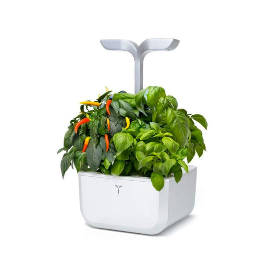 Potager Exky® Smart Blanc