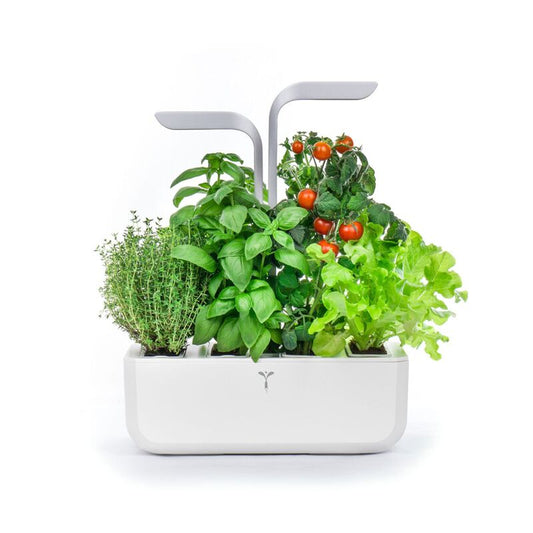 Potager Véritable Smart blanc